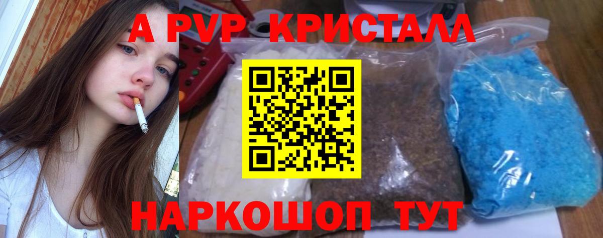 Alfa_PVP СК Ставрополь