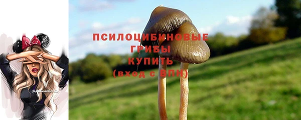 гашик Алзамай