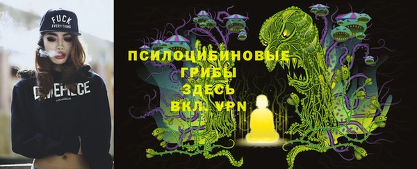 гашик Алзамай