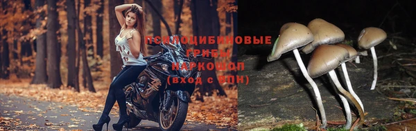 гашишное масло Алексин