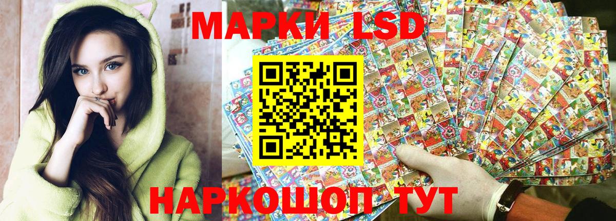 купить наркотики цена  Наркотические марки 1500мкг  Вход с VPN  Наркотические марки 1500мкг  Ставрополь 