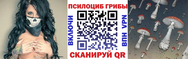 Галлюциногенные грибы Magic Shrooms  это формула  Ставрополь 