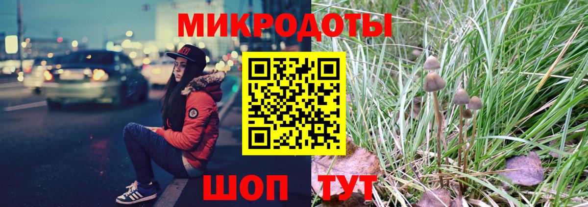 Псилоцибиновые грибы прущие грибы  Вход с VPN  Ставрополь  Псилоцибиновые грибы мицелий 
